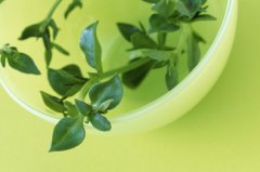 ��������ʳƷ���а�